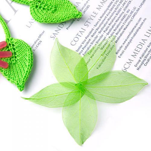 Natural Catbrier Skeleton Leav - Embellish Craft avaliação e preço