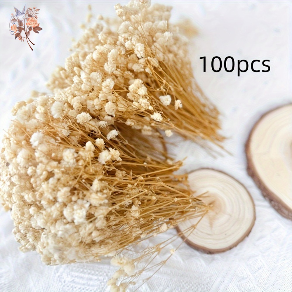 100pcs Mini Dried Baby's Breat - Embellish Craft avaliação e preço